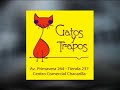 curiosidades cientificas | telurica 413