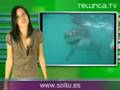 Curiosidades Cientificas | Telurica 413