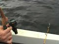 Sportfishing in Sweden...