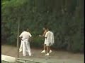 Singapore Boys Fight