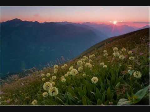 Beautiful Song from Zahir Howaida