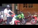 HONDA ホンダ　LittleCub　Cub　リトルカブ　カブ　けろりん