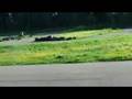 Träning Borgholm Minimoto