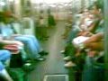 gatos calllejeros rumbo a la metropolitana 1