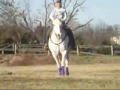 Hank - coolest horse ever!  ValleyViewRanch.net