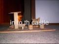 THE VIDEO