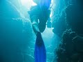 Scuba diving in Xcalak, Mexico - \"Chiminea\" Scuba diving in Xcalak, Mexico - \"Chiminea\"