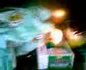 possum-2.html
