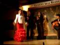 videos de Spanish Flamingo Dance (Female Part)