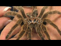 Thumbnail #1