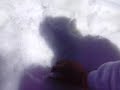 octavo a�o en la nieve