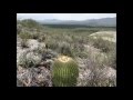 Video slide San Luis Potosi Mexico - YouTube