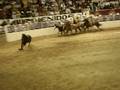 congreso charro zacatecas 2008