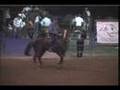 Thiago c/ Homaira -Haras Jaguary Etapa APTB -17.775