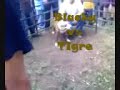 20.wmv