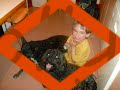 Felices adopciones