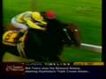 Almost Triple Crown: 1987/1989 - Alysheba/ Sunday Silence