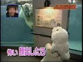 Polarbear