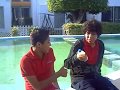 videos de comercial abso mango
