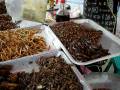 videos de Eat fried verms