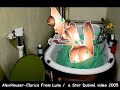 CLARICE FROM LUNA-ALEXHOUSER a STOR DUBINE video 2005