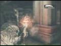 videos de TripleA1 VS. Armour of goD™ Stasis