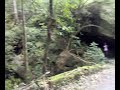 Men in forest.mp4