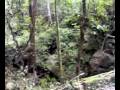 videos de Men in forest.mp4