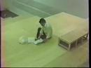 Escalier, Flaubert, Gustave, Lecture, publique, Racine, Rober, Salammb�