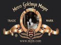 MGM logo with my cat MGM logo with my cat