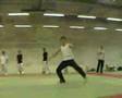 lappi