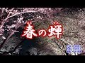 『春の蝉』若山かずさ　カラオケ　2019年6月19日発売
