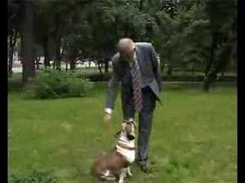 0 Video: Oprescu Primar 