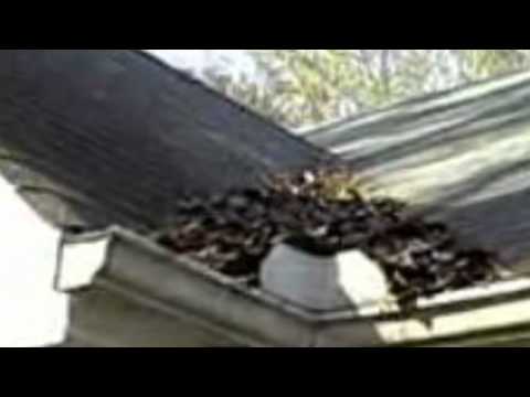 how to drain gutters away from house