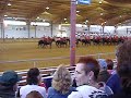 Royal Canadian Mounties Musical Ride Royal Canadian Mounties Musical Ride