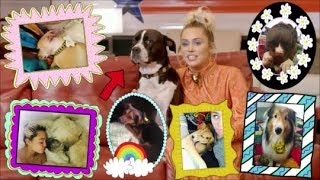 Meet Miley Cyrus Dogs & Pets
