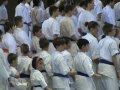 Kyokushin Diákolimpia 2011
