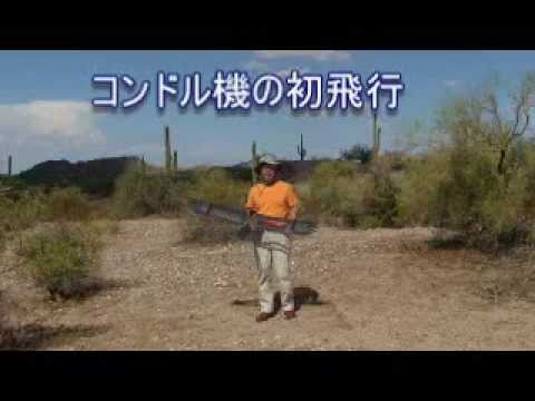 Watch RC Video: 'Oiseau rc bird type glider "condor" in Arizona'