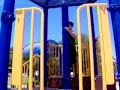 Carlost @ the park 4