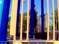 Carlost @ the park 4