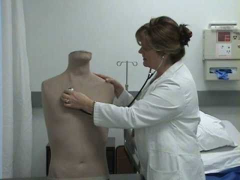 how to write up a physical exam