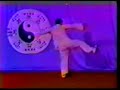 chen xiao wang performing lao jia form