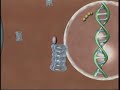 New Hope For Cancer Patients New Hope For Cancer Patients
