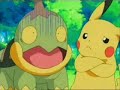Turtwig-Fighting