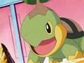 Turtwig-Fighting