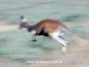 PHOTOADVENTURE - AUSTRALIA 1 - NATURE