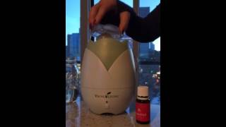 Diffusing Recipes: Wake Up to a Great Morning!