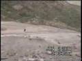 Crazy Biker