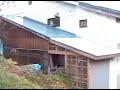 20061105 ??????????????? 20061105 ???????????????