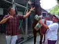 Video De Polo Grounds 2007
